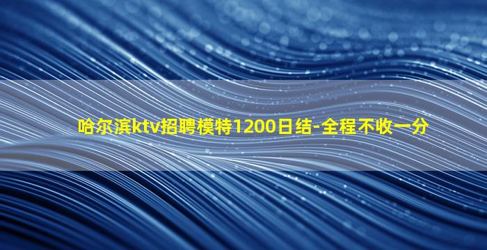 哈尔滨ktv招聘模特1200日结-全程不收一分